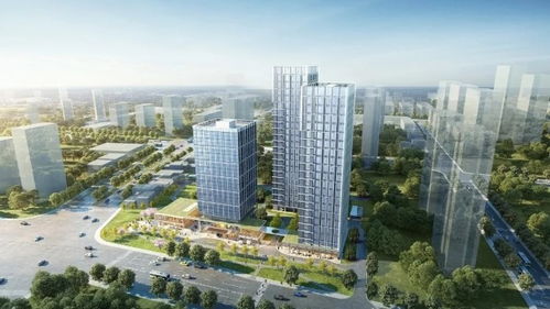 6字頭起 高鐵西 麓山國際旁百變?nèi)縧oft