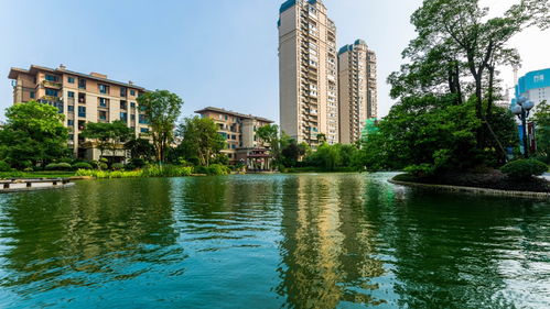 為啥還敢買恒大房 聽聽專家怎么解答