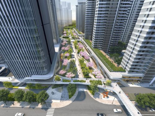 2021年上半年產品力 ▏長沙高端入圍項目 路演報告 2 4