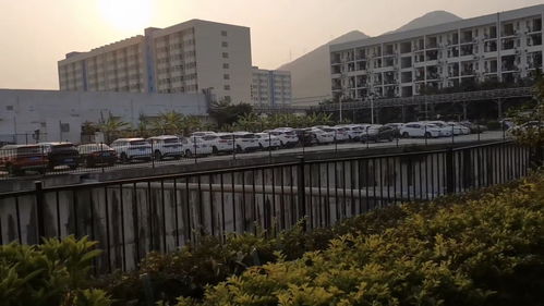 在比亞迪工作是一種怎樣的生活