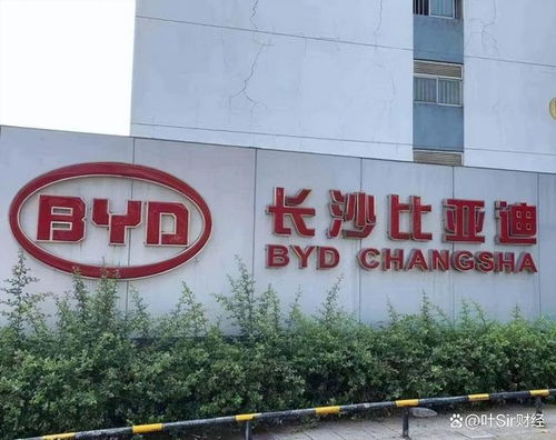 比亞迪長沙工廠爆離職潮 利潤上漲的新能源一哥,為何留不住人