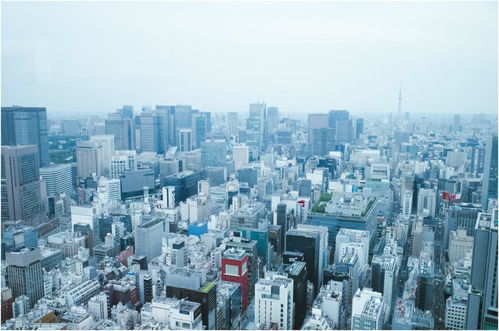 杭州樓市當下的風險指數非常高 當下房企暴雷的原因,是什么