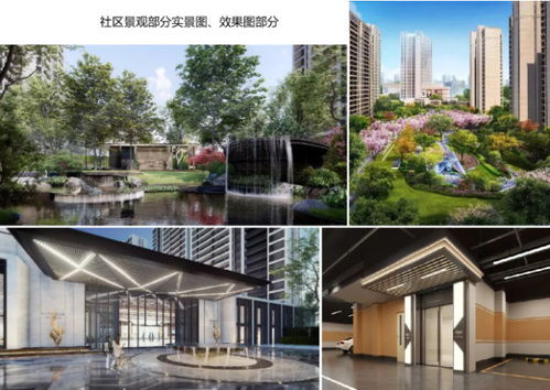 2020年產品力 ▏入圍品質項目路演報告合集 房產長沙站