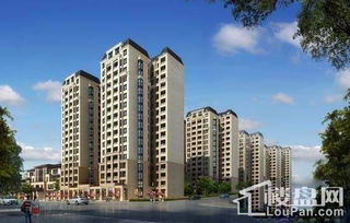 墅區(qū)小高層4999元 平起