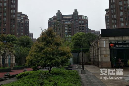 長(zhǎng)沙奧林匹克花園優(yōu)點(diǎn) 不足,長(zhǎng)沙奧林匹克花園怎么樣,長(zhǎng)沙奧林匹克花園周邊房產(chǎn)中介經(jīng)紀(jì)人評(píng)價(jià)