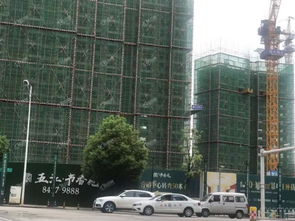 天心區8月推出新盤 地鐵盤 青園教育資源,均價9500元 平